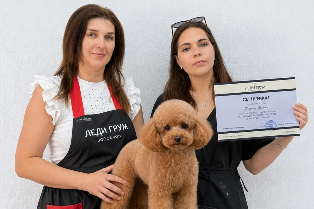 «Интенсив»